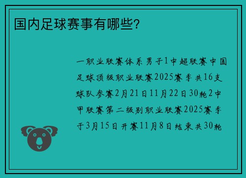 国内足球赛事有哪些？